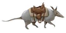Armadillo Western